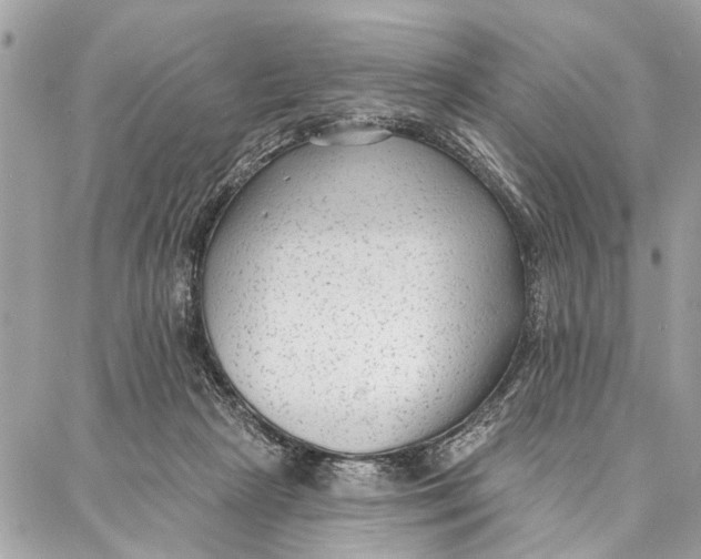 X0000086930265200705071400