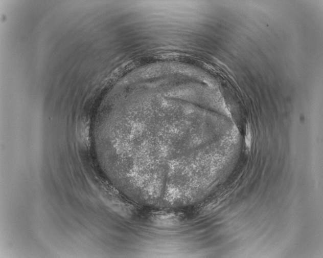 X0000086930267200705071400