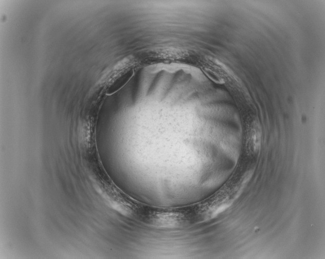 X0000086930268200705071400