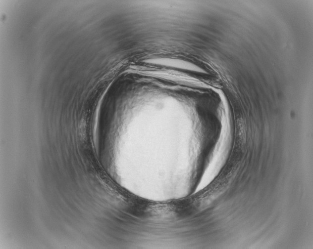 X0000086930269200705071400