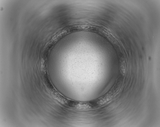 X0000086930270200705071400