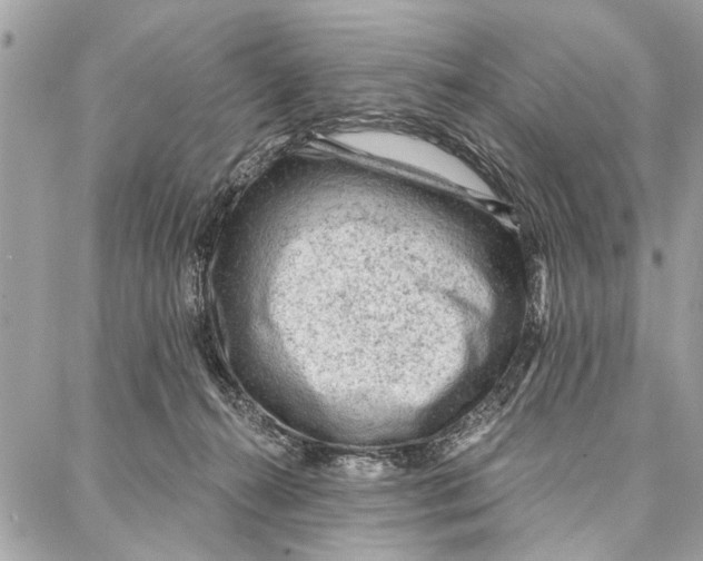 X0000086930272200705071400