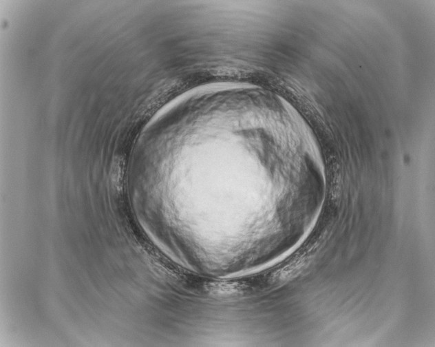 X0000086930273200705071400