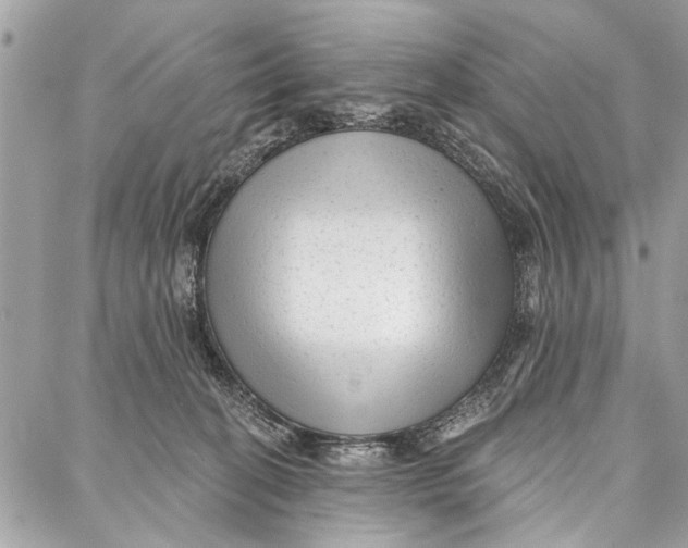 X0000086930274200705071400