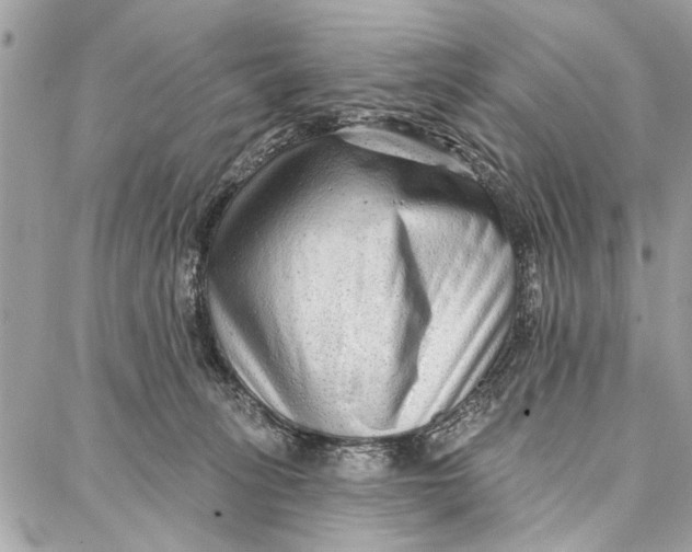 X0000086930275200705071400