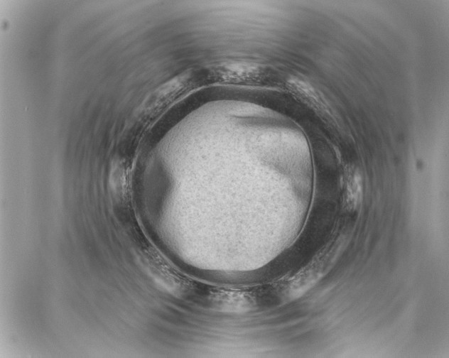 X0000086930276200705071400