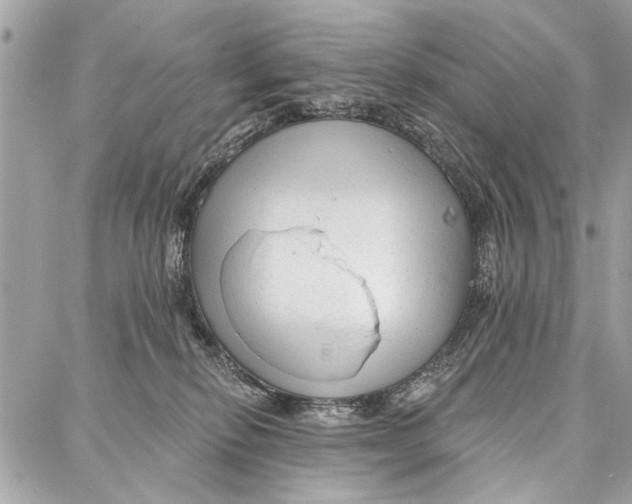 X0000086930278200705071400