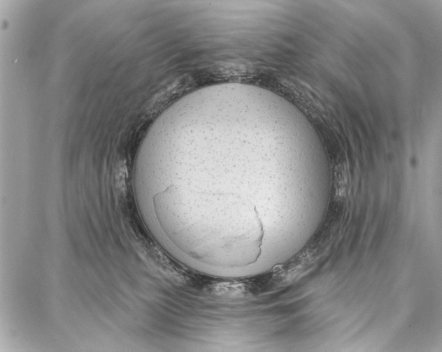 X0000086930279200705071401