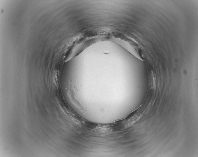 X0000086930280200705071401