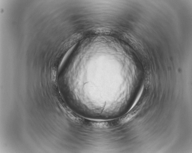 X0000086930281200705071401