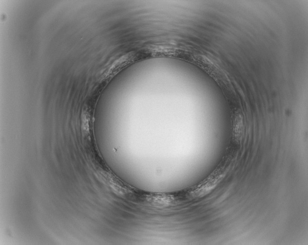 X0000086930282200705071401