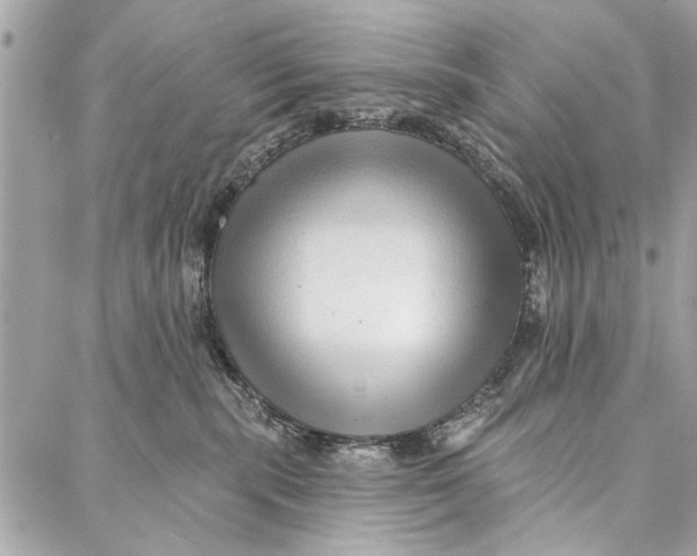 X0000086930283200705071401