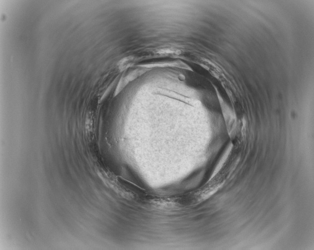 X0000086930284200705071401