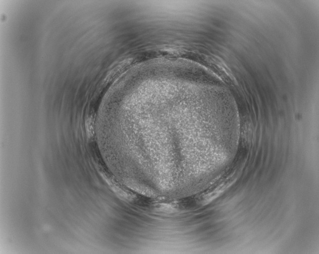 X0000086930285200705071401