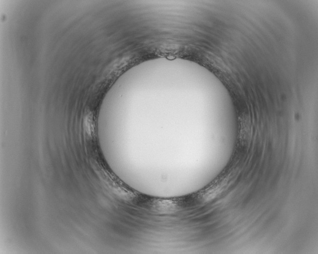 X0000086930287200705071401