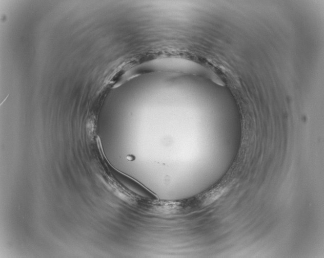 X0000086930288200705071401