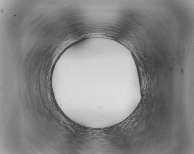 X0000086930289200705071400