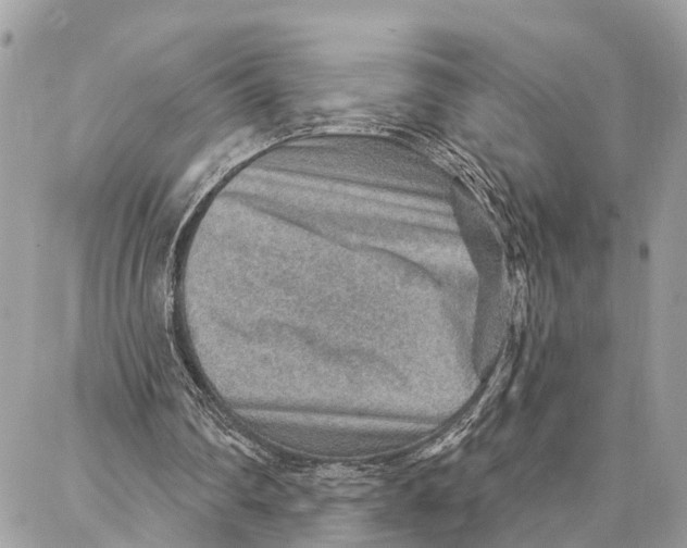 X0000086930290200705071400