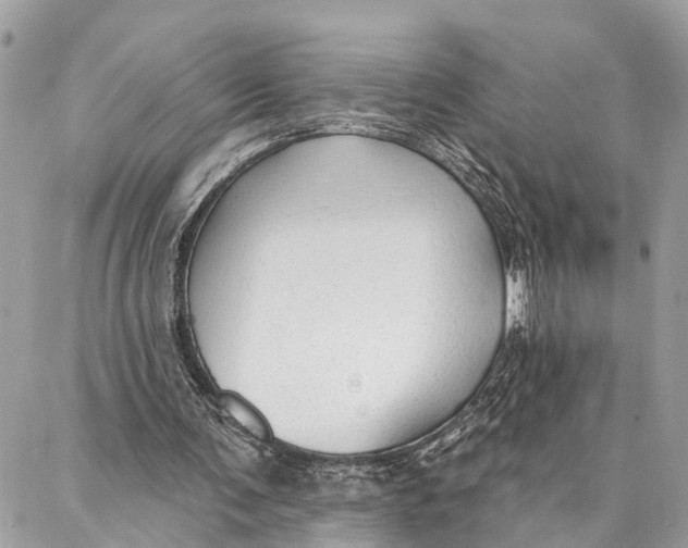 X0000086930291200705071400