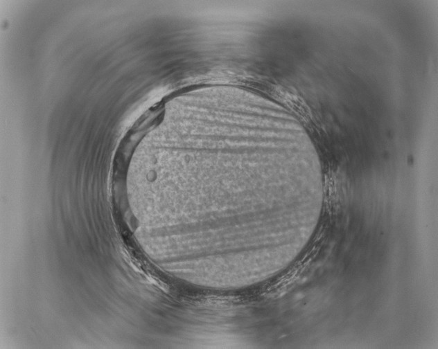 X0000086930292200705071400