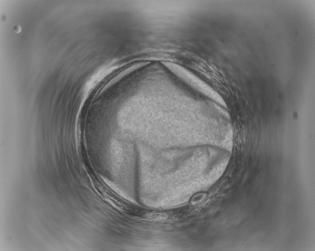 X0000086930294200705071400