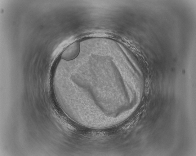 X0000086930296200705071400