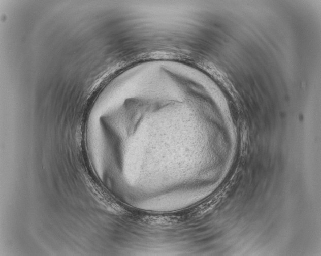 X0000086930297200705071400