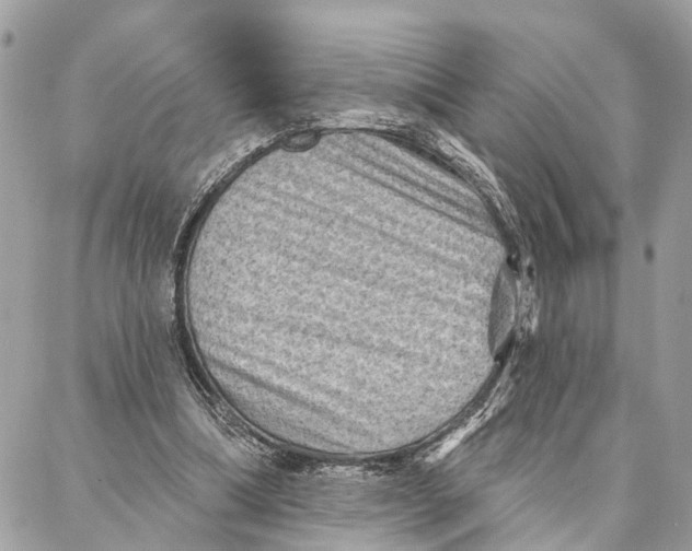 X0000086930298200705071400