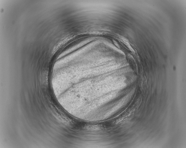 X0000086930299200705071400