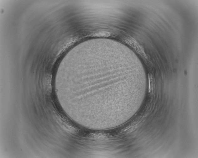 X0000086930300200705071400