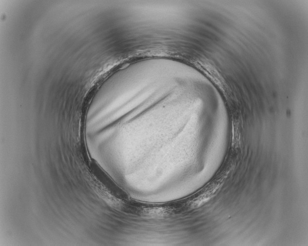 X0000086930301200705071400