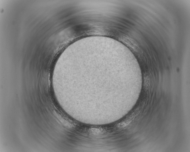 X0000086930302200705071400