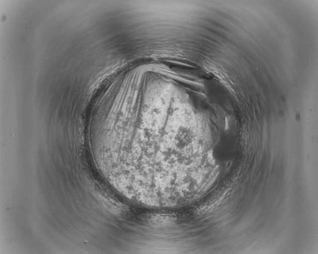 X0000086930303200705071400