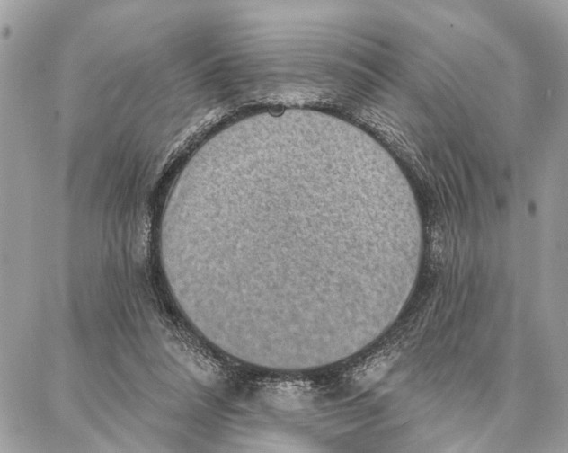 X0000086930304200705071400