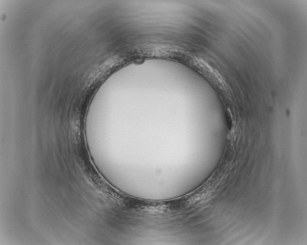 X0000086930306200705071400