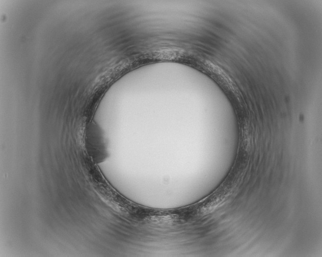 X0000086930307200705071400