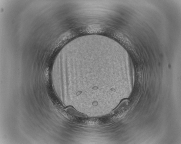 X0000086930308200705071400