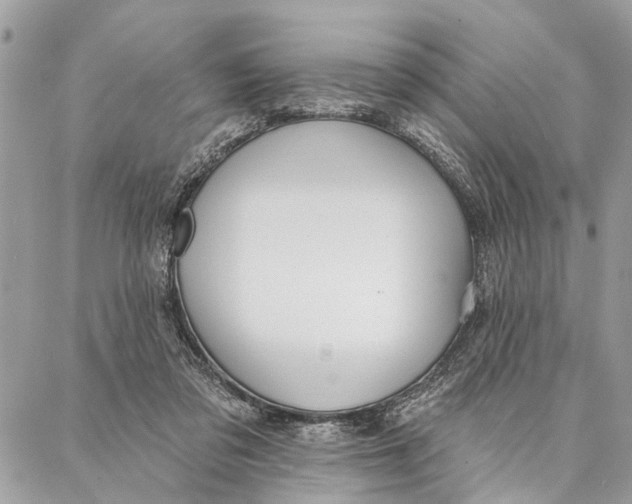 X0000086930309200705071400