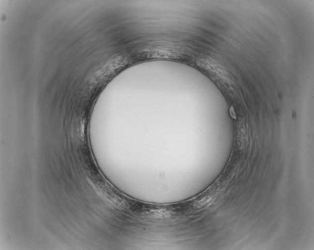 X0000086930310200705071400