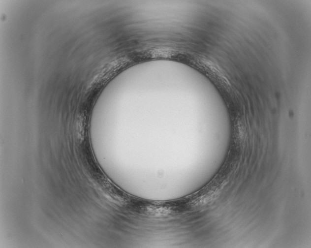 X0000086930311200705071400