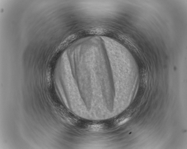 X0000086930312200705071400