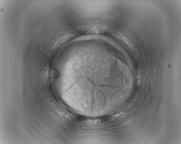 X0000086930314200705071359