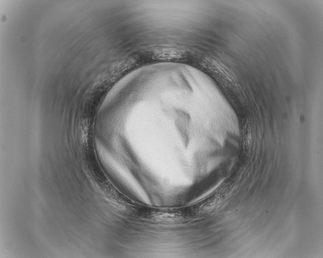 X0000086930315200705071359