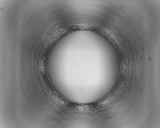 X0000086930317200705071359