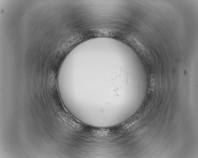 X0000086930318200705071359