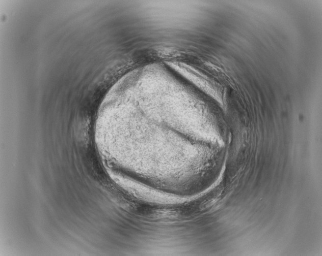 X0000086930319200705071359