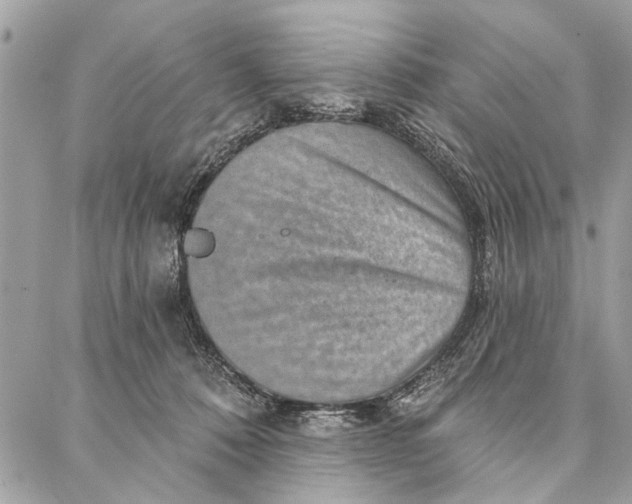 X0000086930320200705071359