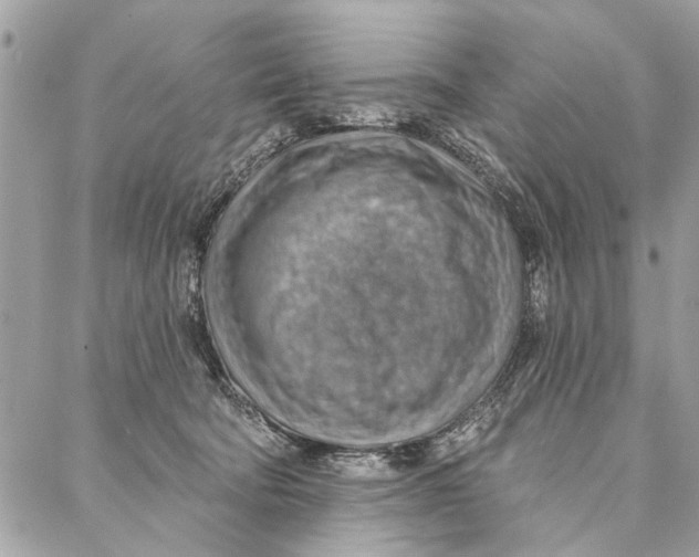 X0000086930322200705071359