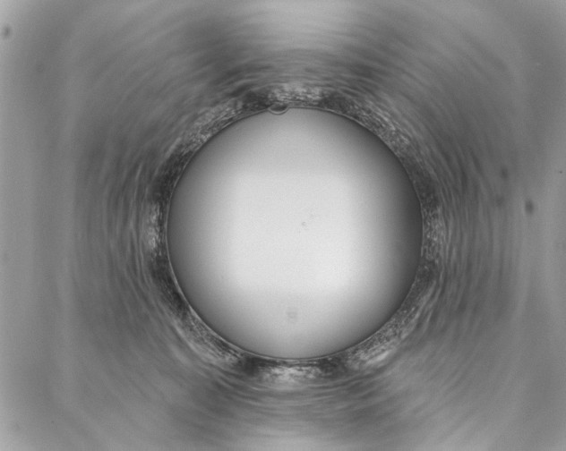 X0000086930323200705071359