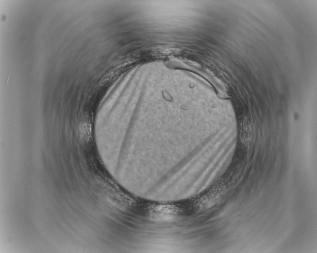 X0000086930324200705071359